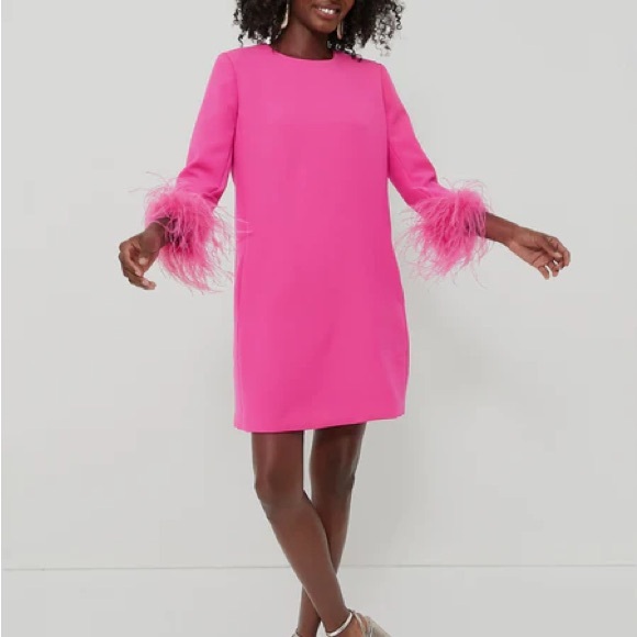 Tuckernuck Dresses & Skirts - Tuckernuck Hot Pink Mod Feather Mary Dress - M